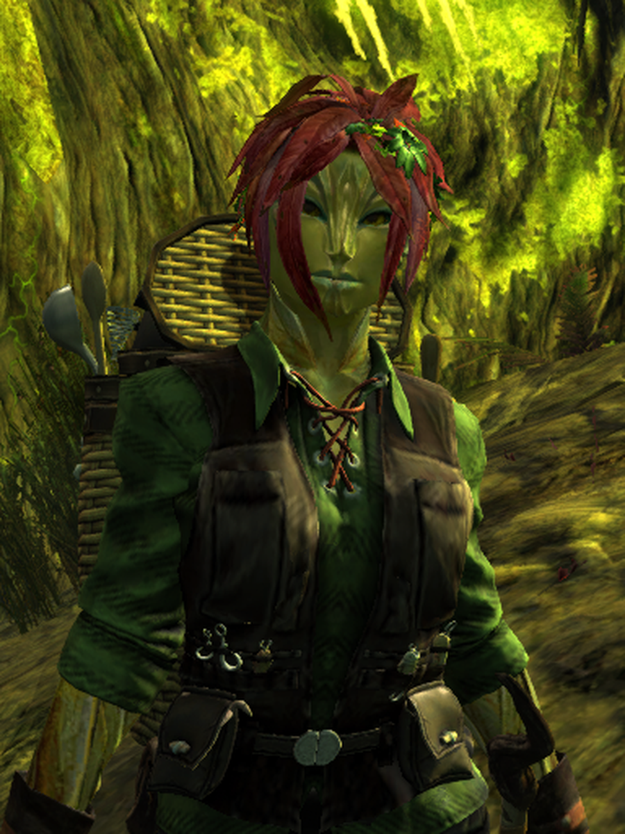 Hyzope (sylvari verte aux cheveux rouges encadrant son visage) analyse la scène devant elle.